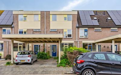 Hindeweide 5