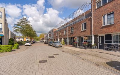 Pieter Aert. 36