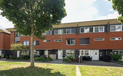 Pieter de H. 93
