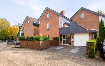 Ringslangweide 8