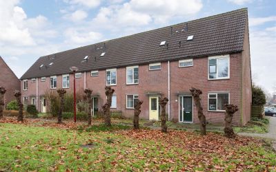 Marmotweide 17