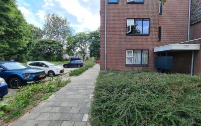 Otterweide 19
