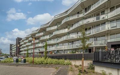 Moerashoeve 33
