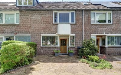 Manonsingel 19