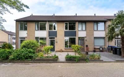 Strawinskys. 11