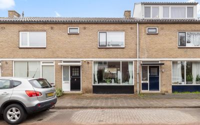 Goudenregen. 8