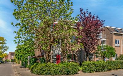 Veldbloemen. 28