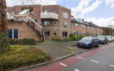 Veldbloemen. 42