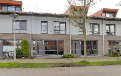 Dotterbloem. 24
