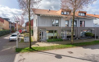 Dotterbloem. 30