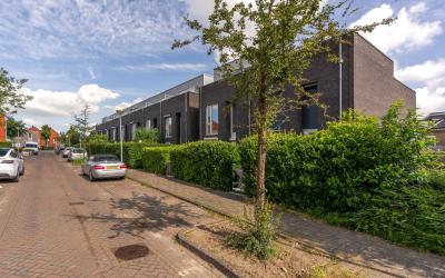Gouden Koet. 19