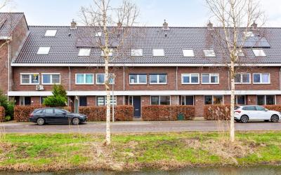 Maskerbloem. 37