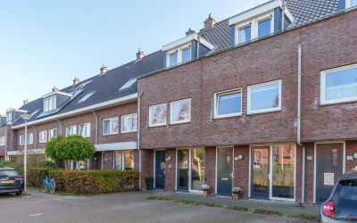 Paardenbloe. 18