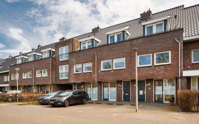 Paardenbloe. 26