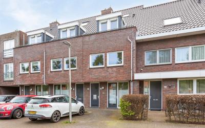 Paardenbloe. 28