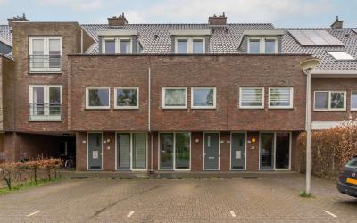 Paardenbloe. 49
