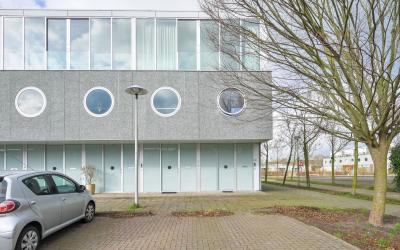 Veldbloemla. 61