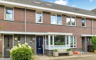 Schapengras. 29