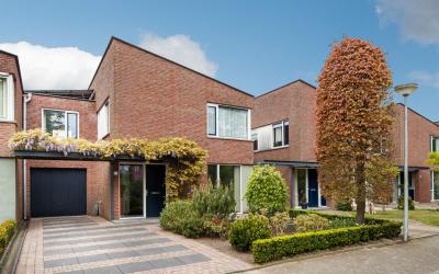 Rotte 17