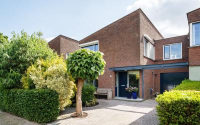 Geeuw 8