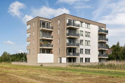Wiericke 11