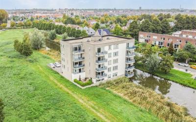Wiericke 17