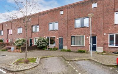 Kladdewortel 14