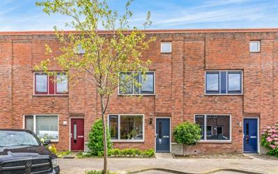 Kladdewortel 22