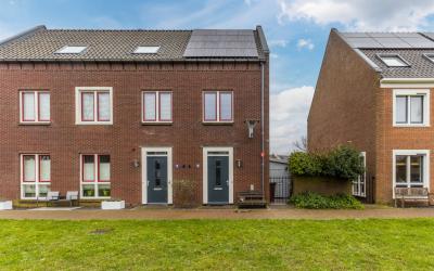 Willem Kloo. 20
