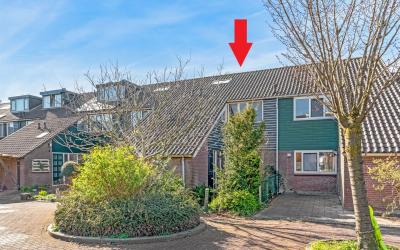 de Werf 41