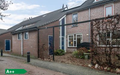 Reiger 23