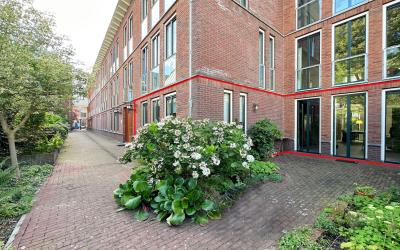 Wolvenplein 6