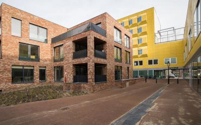 Vrouwjutten. 56