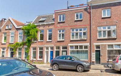 Van Leeuwen. 1-D