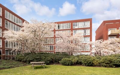 Veilinghavenkade 7