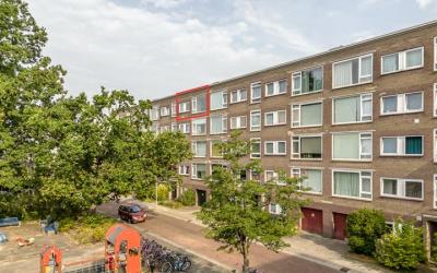 Looplantsoen 52