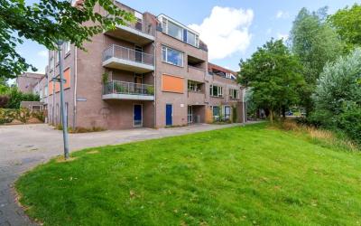 Reiderland 40