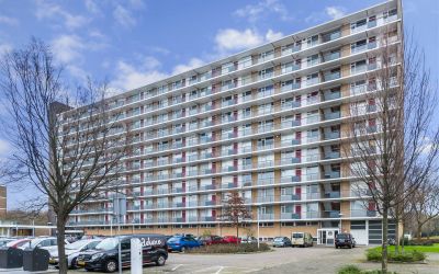 Livingstonelaan 536