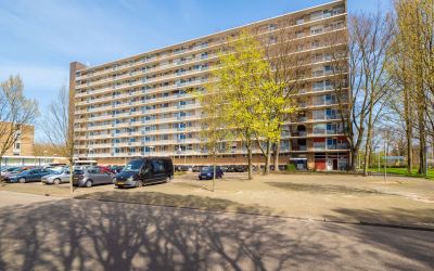 Livingstonelaan 924