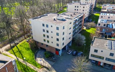 Jo Wüthrich. 13