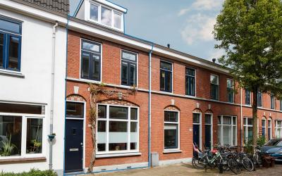 Van Diemens. 31