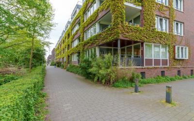 Molukkenstr. 12