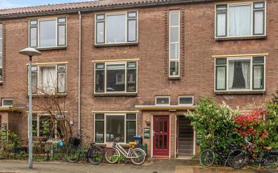 Kneppelhout. 11