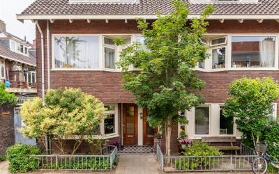 Kneppelhout. 2