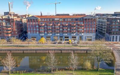 Grauwaartsi. 286