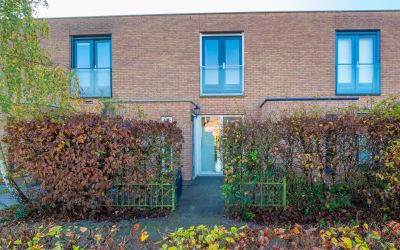 Hysophof 17