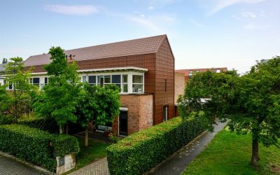 Pijlstaartvlinder 31