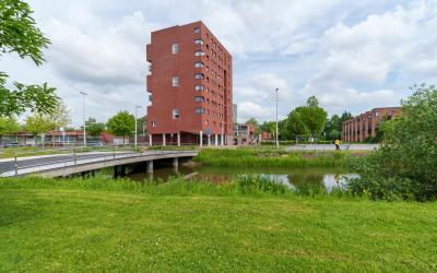 Zijlsterrak. 17