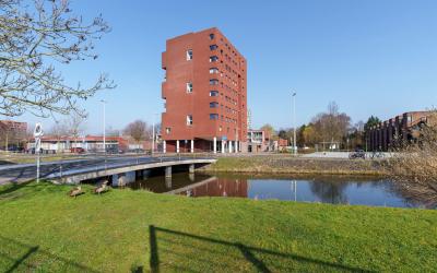Zijlsterrak. 20