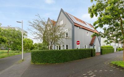 Agaatvlinde. 64